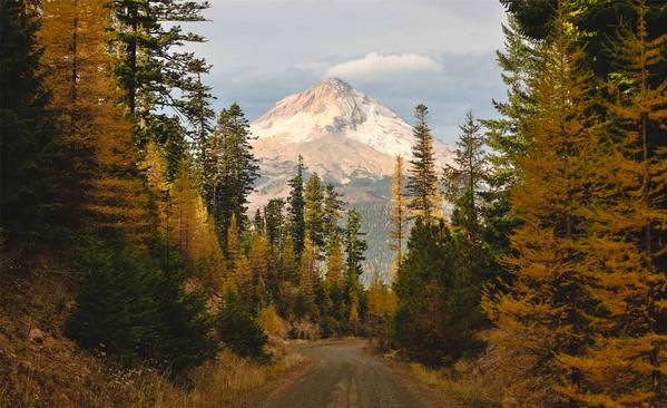 The Pacific Northwest
